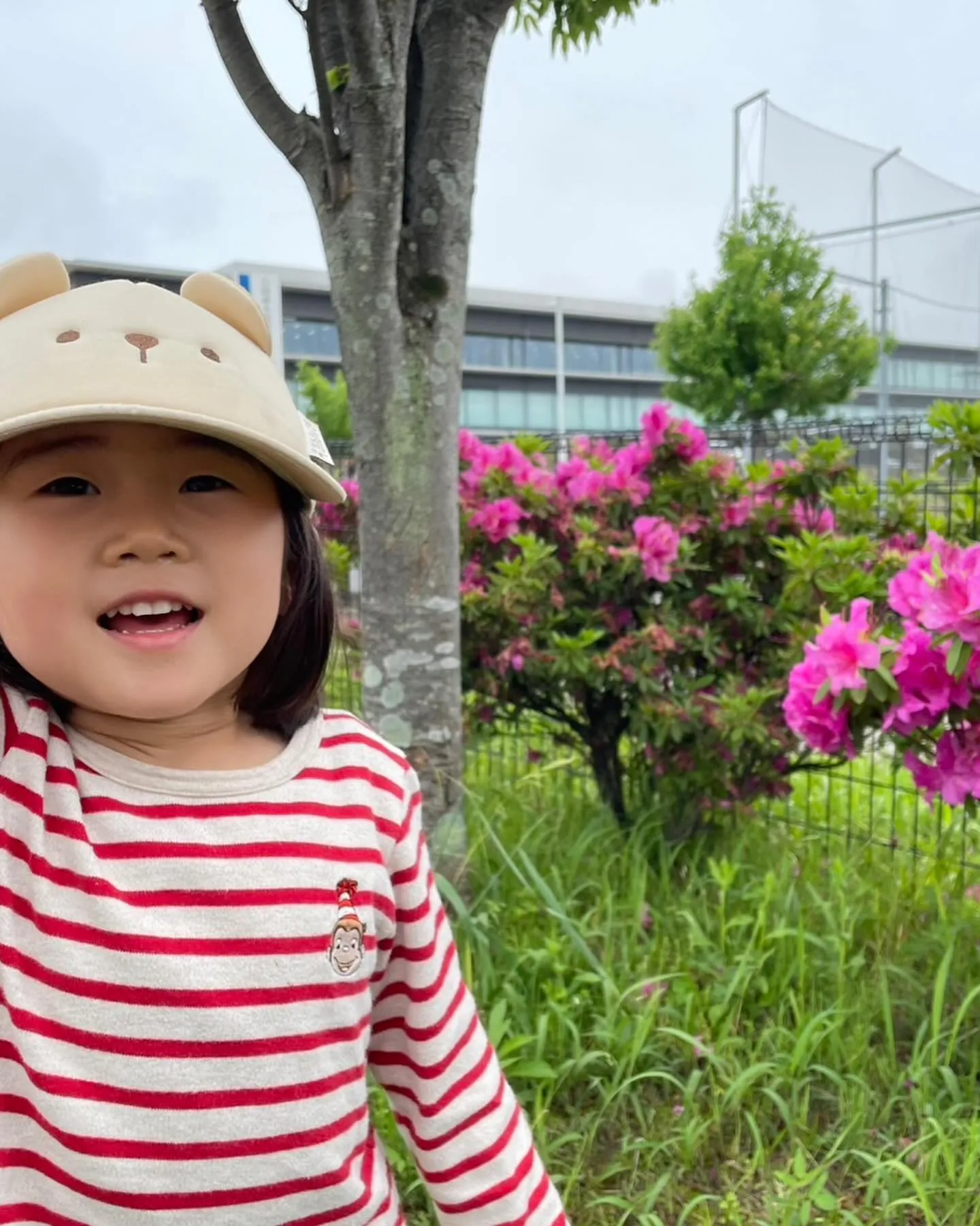 #生きた英語が学べる