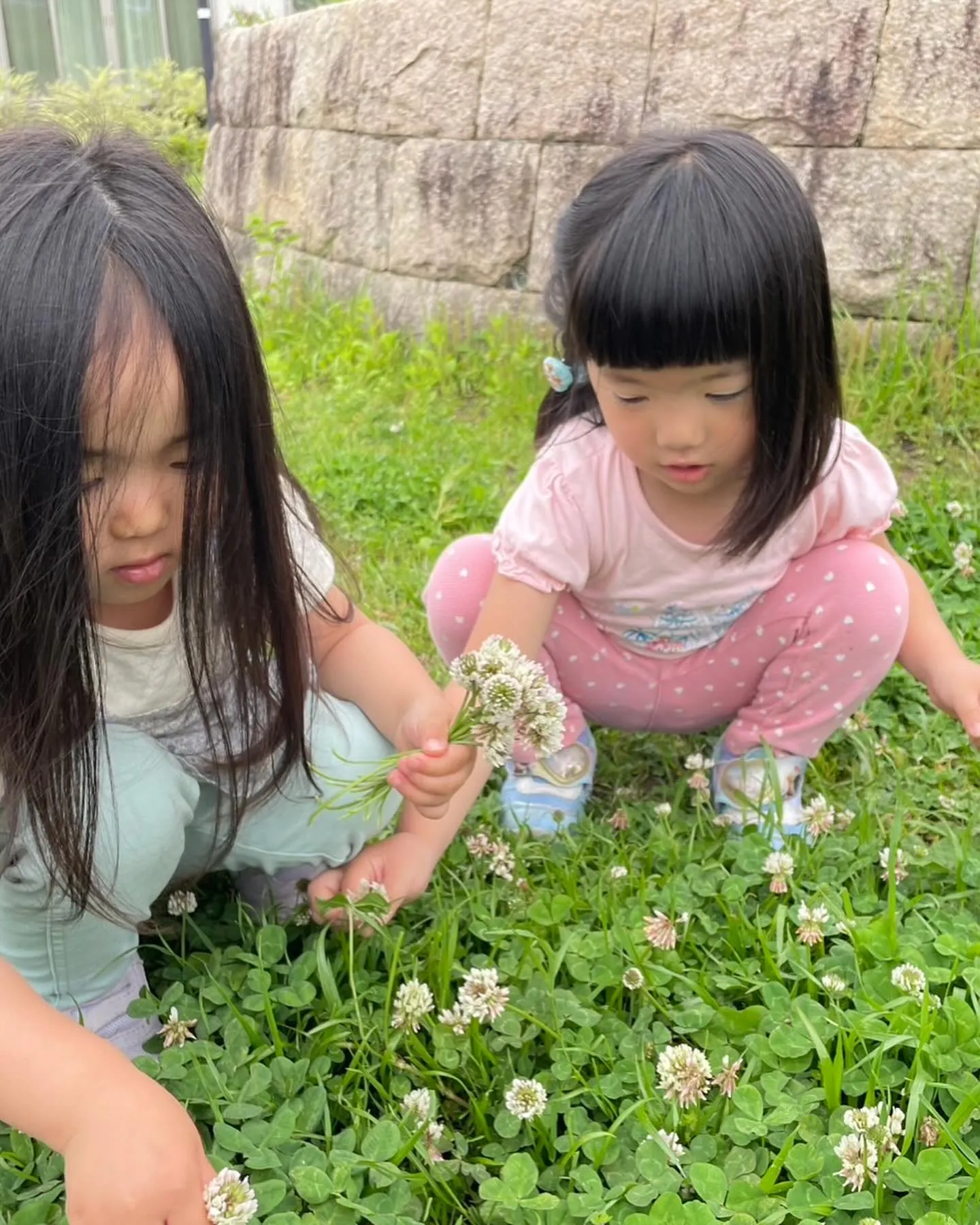 #生きた英語が学べる