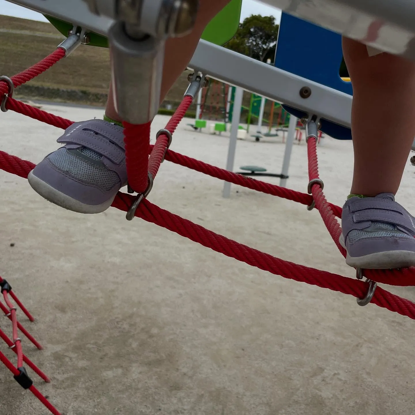 今日は、雨が降らなくてよかったです。