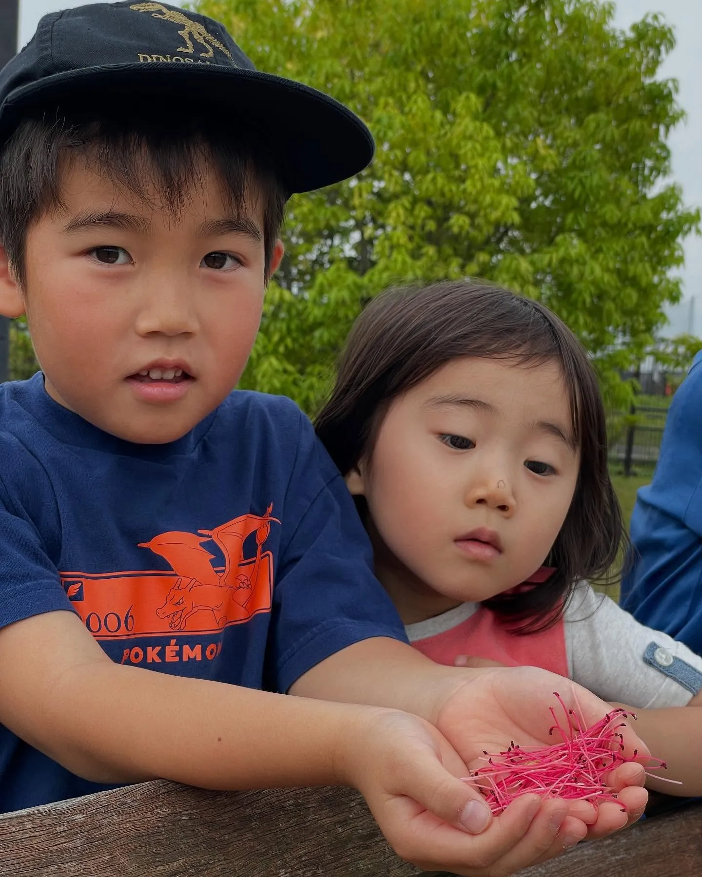 土曜日の小学校の運動会があったので、欠席が多かったので、みん...