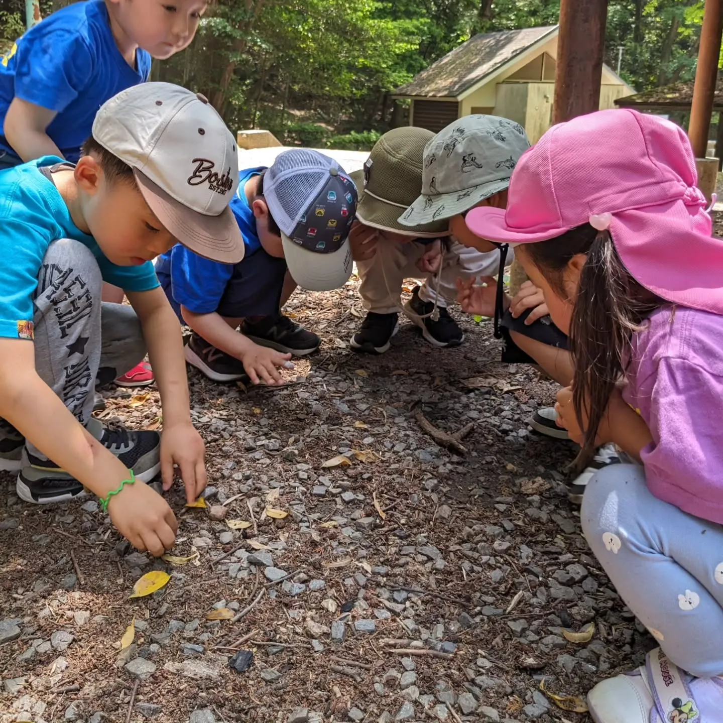 【South:PS 5/20】We enjoyed our ...