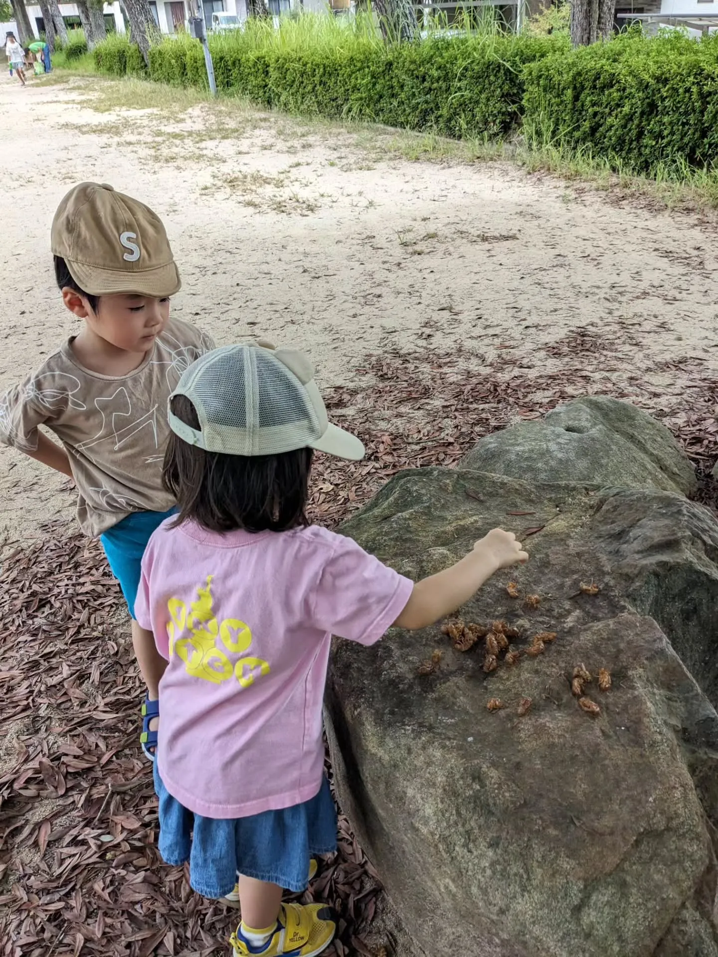 【South】Summer Schoolご参加いただきありが...