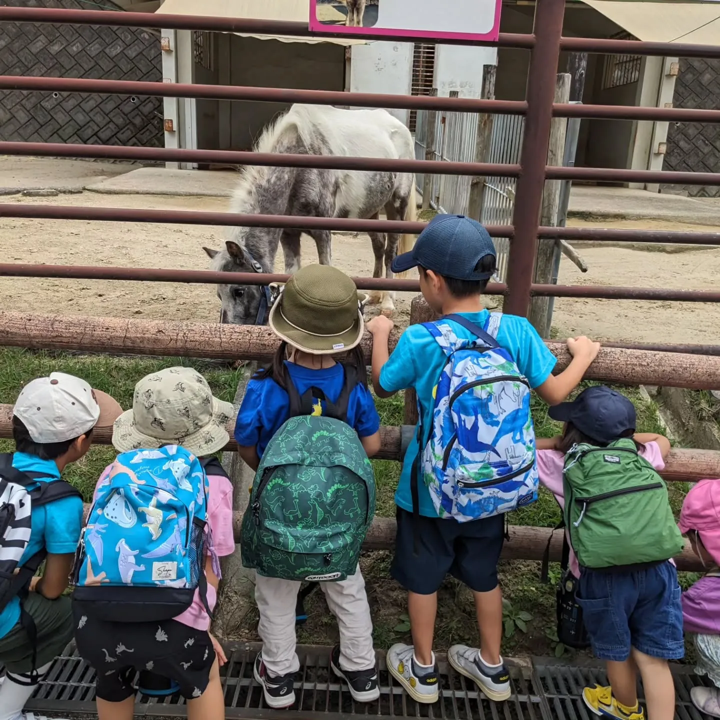 【South:PS】We went to Higashi P...