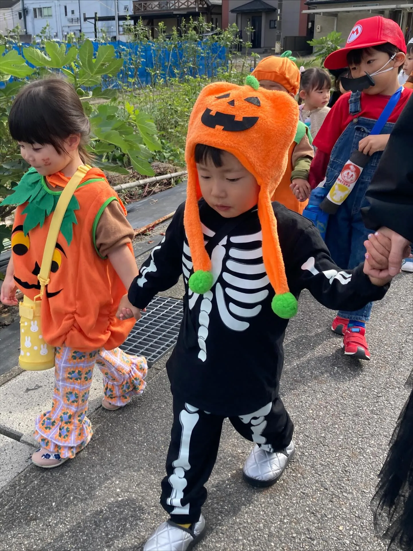 【North Halloween Party】