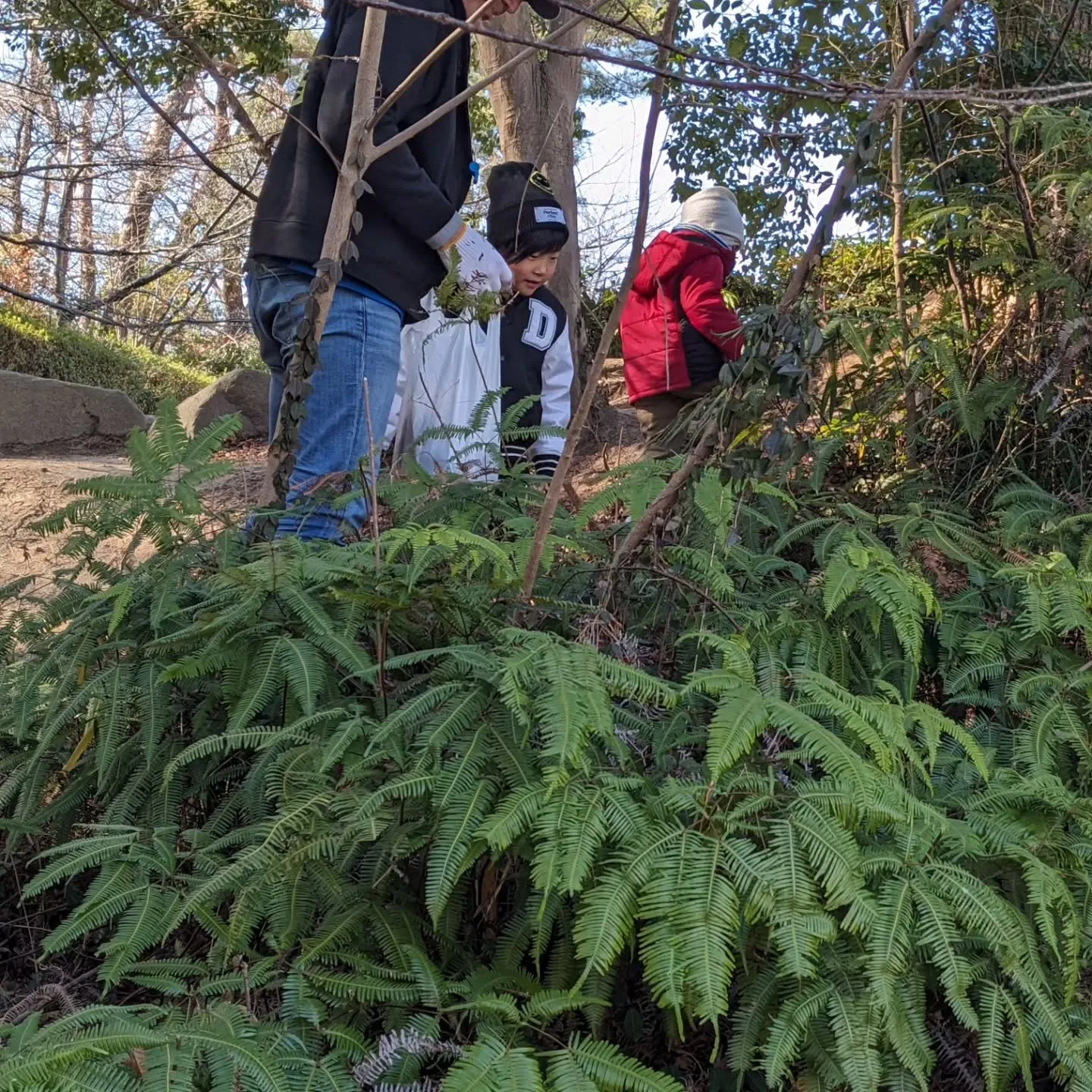 明けましておめでとうございます。