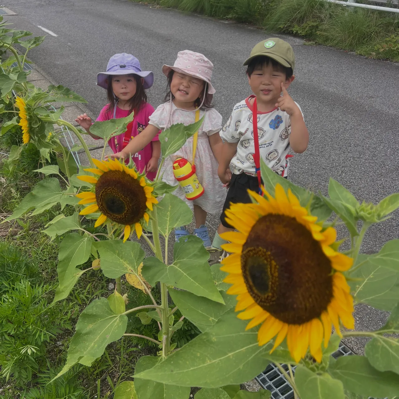 🌈✨ 岡崎市で、はじめての英語体験しませんか? ✨🌈