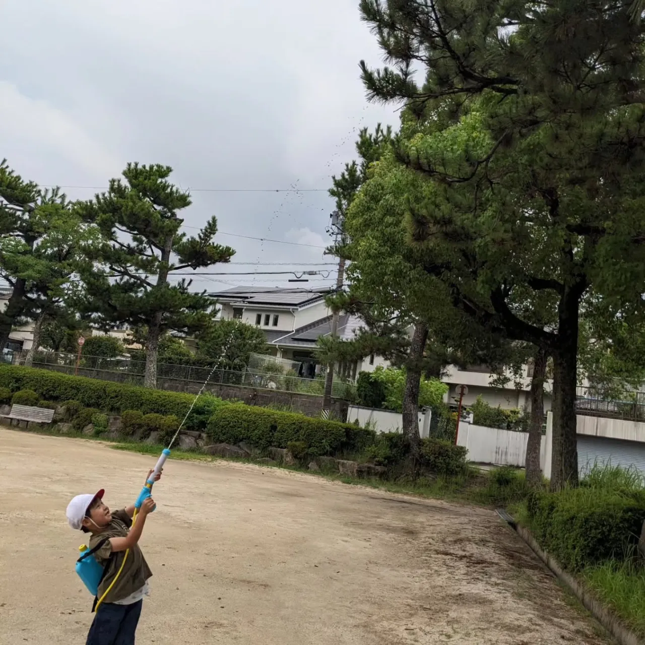 【South: Summer School①】